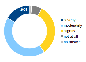 Donut chart showing the severity of the impact of dblp outages in 2025:: severely (dark blue), moderately (light blue), slightly (yellow), not at all (gray), no answer (light gray).
